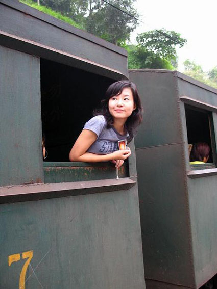 Taking the Train for Sight-seeing 